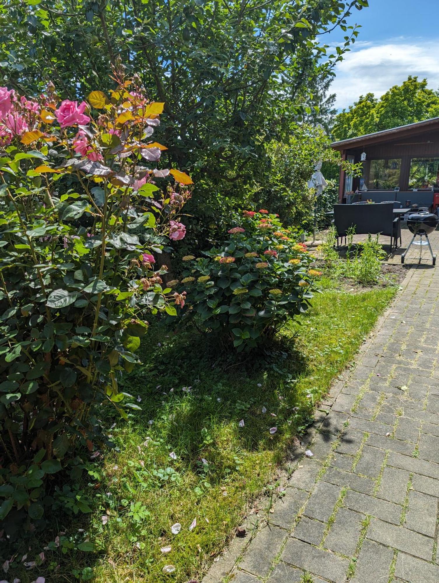 Ferienwohnung Bullersberg Balge Exterior photo